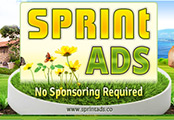 Minisite With Special Background (MWSB-21) -  Sprint Ads