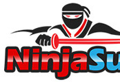 Traffic Exchange (TE-166) -  Ninja Surf